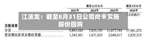 江波龙：截至8月31日公司尚未实施股份回购-第1张图片