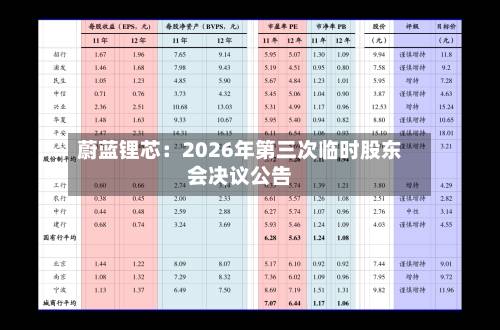 蔚蓝锂芯：2026年第三次临时股东会决议公告