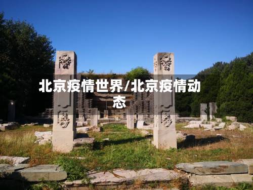 北京疫情世界/北京疫情动态