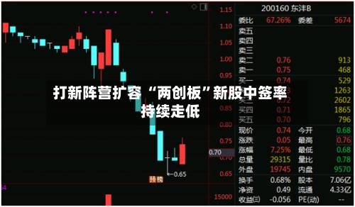 打新阵营扩容 “两创板”新股中签率持续走低-第2张图片
