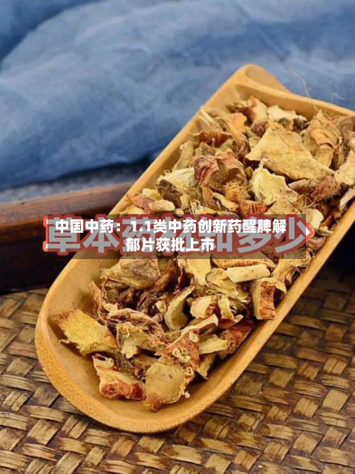 中国中药:1.1类中药创新药醒脾解郁片获批上市-第1张图片