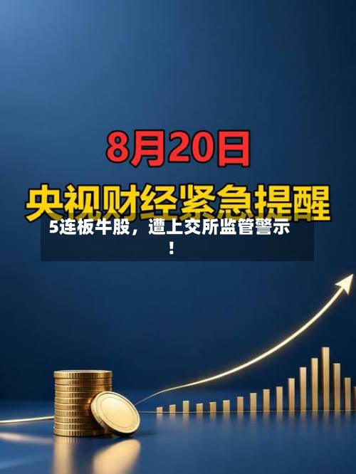 5连板牛股，遭上交所监管警示！-第2张图片