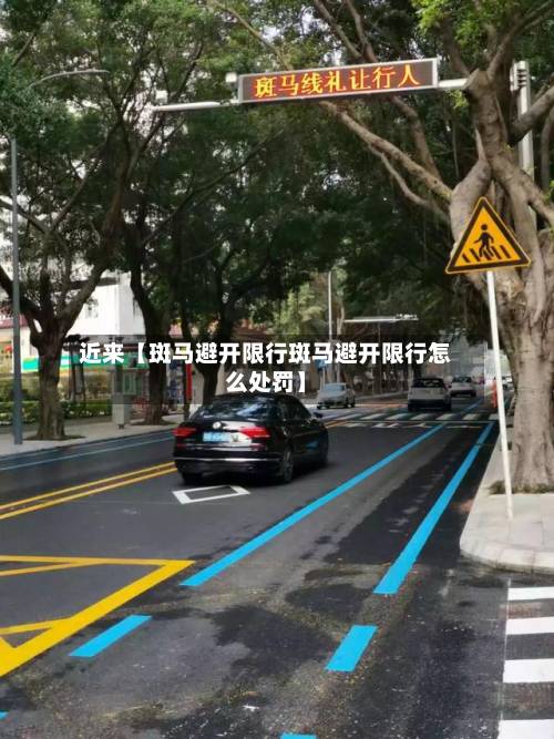 近来【斑马避开限行斑马避开限行怎么处罚】-第1张图片