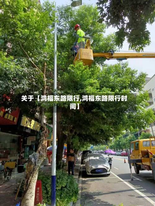 关于【鸿福东路限行,鸿福东路限行时间】-第1张图片