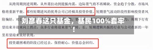 刘彦春这只基金，基民100%套牢！-第3张图片
