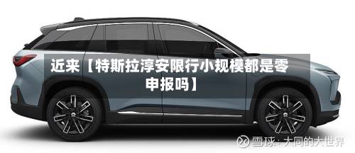 近来【特斯拉淳安限行小规模都是零申报吗】-第1张图片