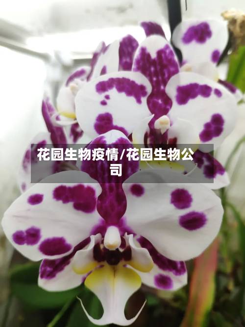 花园生物疫情/花园生物公司-第1张图片