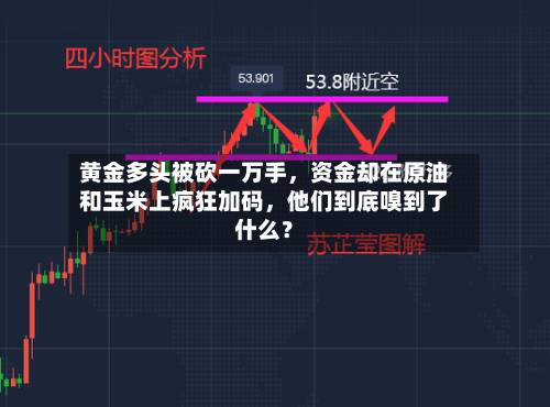 黄金多头被砍一万手，资金却在原油和玉米上疯狂加码，他们到底嗅到了什么？-第3张图片