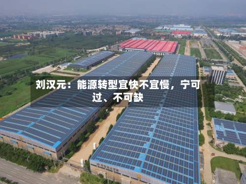 刘汉元：能源转型宜快不宜慢，宁可过、不可缺