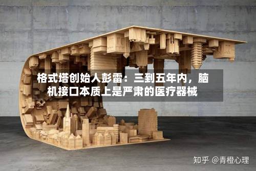 格式塔创始人彭雷：三到五年内，脑机接口本质上是严肃的医疗器械-第2张图片