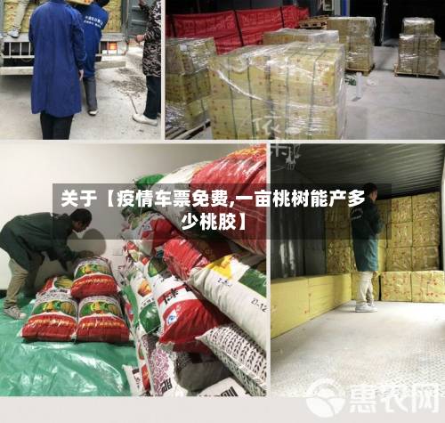 关于【疫情车票免费,一亩桃树能产多少桃胶】