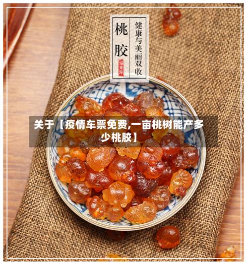 关于【疫情车票免费,一亩桃树能产多少桃胶】-第2张图片