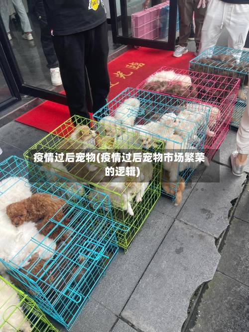疫情过后宠物(疫情过后宠物市场繁荣的逻辑)-第2张图片