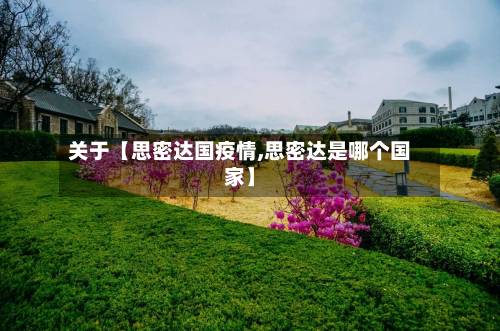关于【思密达国疫情,思密达是哪个国家】-第2张图片
