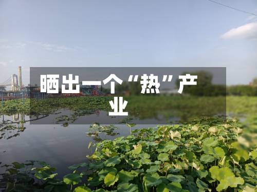 晒出一个“热”产业-第2张图片