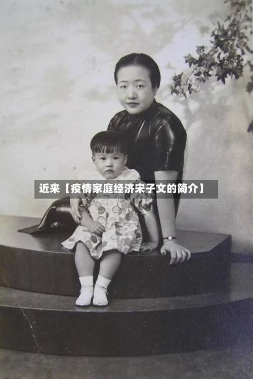 近来【疫情家庭经济宋子文的简介】-第3张图片