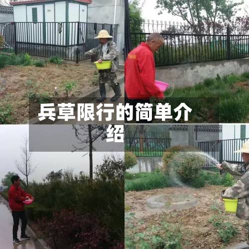 兵草限行的简单介绍-第2张图片