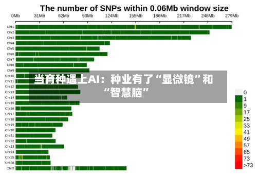 当育种遇上AI：种业有了“显微镜”和“智慧脑”