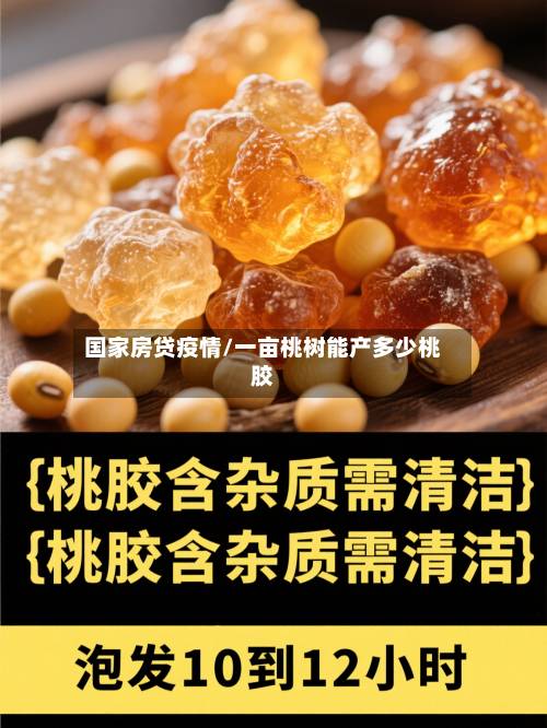 国家房贷疫情/一亩桃树能产多少桃胶-第3张图片