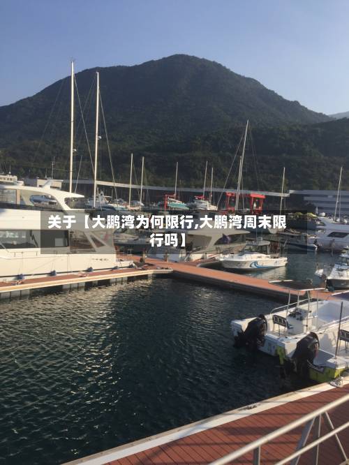 关于【大鹏湾为何限行,大鹏湾周末限行吗】-第3张图片