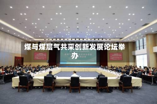 煤与煤层气共采创新发展论坛举办