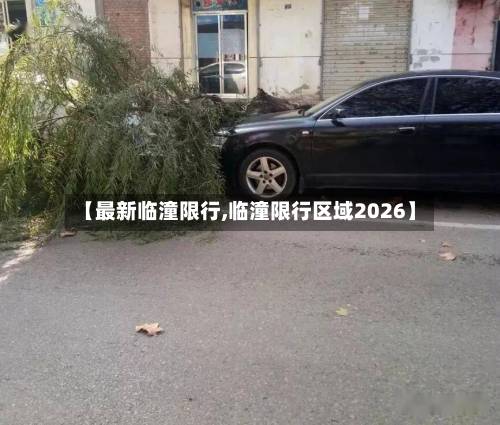 【最新临潼限行,临潼限行区域2026】-第2张图片