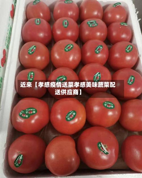 近来【孝感疫情送菜孝感美味蔬菜配送供应商】