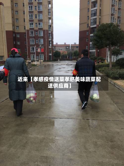 近来【孝感疫情送菜孝感美味蔬菜配送供应商】-第2张图片