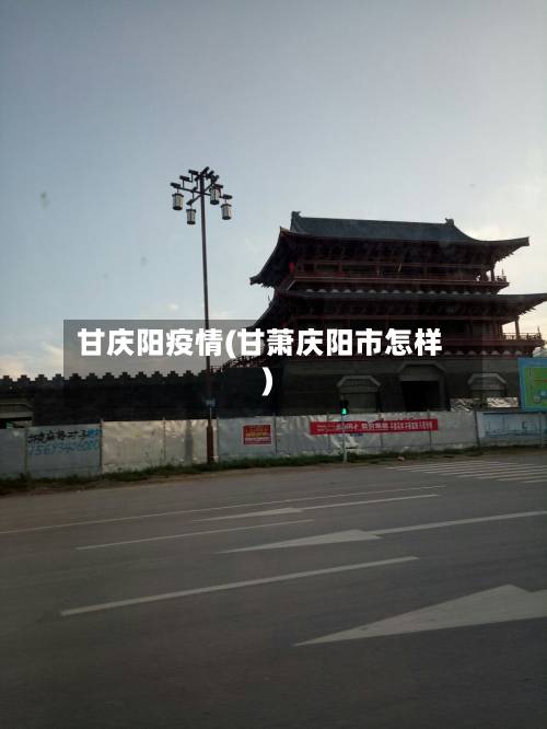 甘庆阳疫情(甘萧庆阳市怎样)