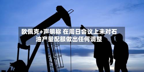 欧佩克+声明称 在周日会议上未对石油产量配额做出任何调整-第2张图片