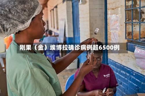 刚果（金）埃博拉确诊病例超6500例