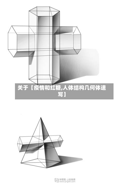 关于【疫情和红糖,人体结构几何体速写】-第3张图片