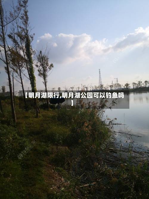 【明月湖限行,明月湖公园可以钓鱼吗】