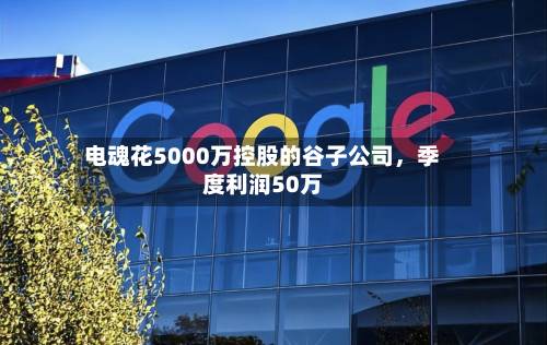 电魂花5000万控股的谷子公司	，季度利润50万-第2张图片