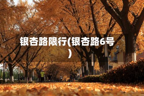 银杏路限行(银杏路6号)