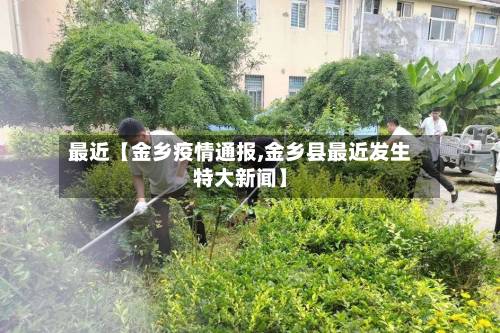 最近【金乡疫情通报,金乡县最近发生特大新闻】-第2张图片