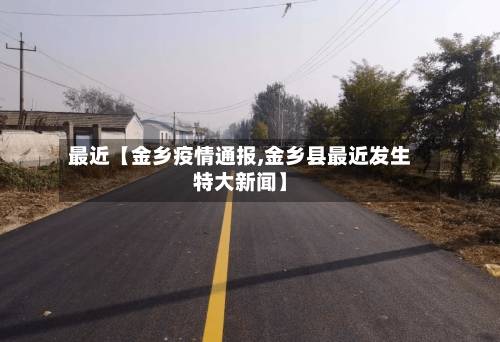 最近【金乡疫情通报,金乡县最近发生特大新闻】