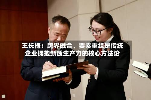王长梅：跨界融合、要素重组是传统企业拥抱新质生产力的核心方法论-第2张图片