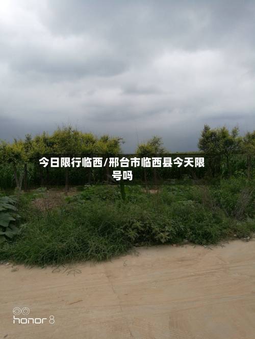 今日限行临西/邢台市临西县今天限号吗-第3张图片