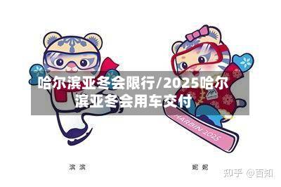 哈尔滨亚冬会限行/2025哈尔滨亚冬会用车交付-第3张图片