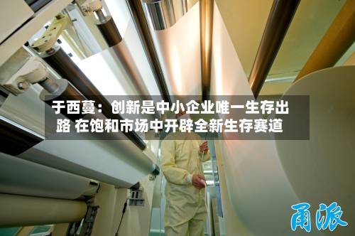 于西蔓:创新是中小企业唯一生存出路 在饱和市场中开辟全新生存赛道-第3张图片