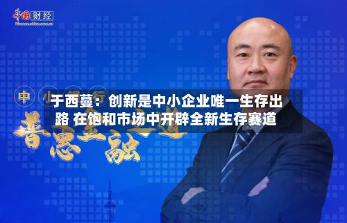于西蔓:创新是中小企业唯一生存出路 在饱和市场中开辟全新生存赛道-第2张图片
