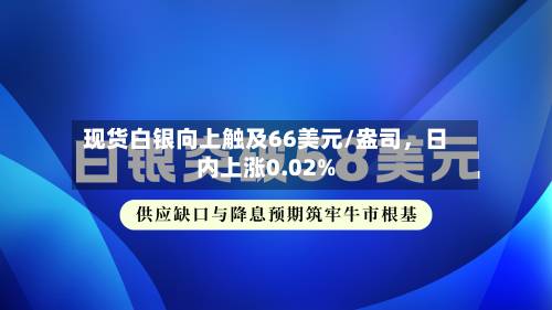 现货白银向上触及66美元/盎司，日内上涨0.02%-第2张图片