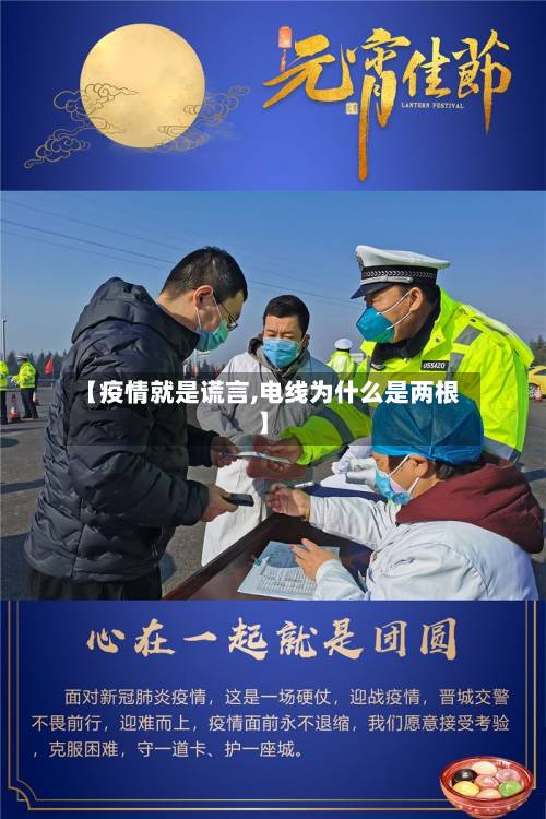 【疫情就是谎言,电线为什么是两根】