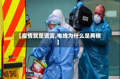 【疫情就是谎言,电线为什么是两根】-第3张图片