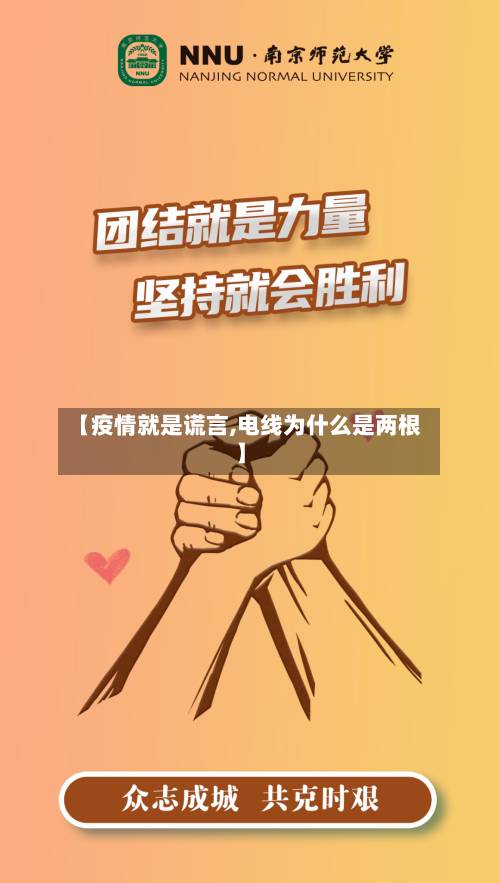 【疫情就是谎言,电线为什么是两根】-第2张图片