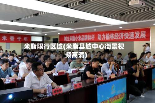 米脂限行区域(米脂县城中心街景视频高清)-第2张图片