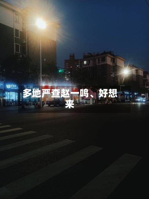 多地严查赵一鸣、好想来