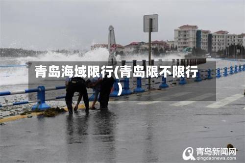 青岛海域限行(青岛限不限行)