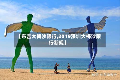 【布吉大梅沙限行,2019深圳大梅沙限行新规】